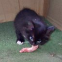 ���� Vladimir, ������, 68 ��� - ��������� 26 ������� 2023 � ������ ���� ������� ������ - ������!�