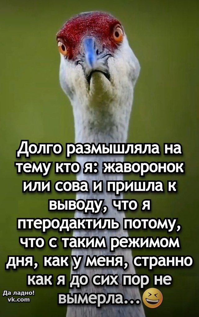  - 22  2025  00:26