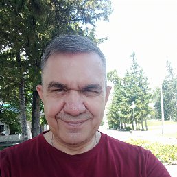 , 52, 