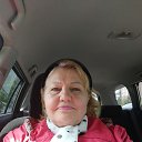 ���� �������, �����������, 66 ��� - ��������� 24 ����� 2024 � ������ ���� ����������