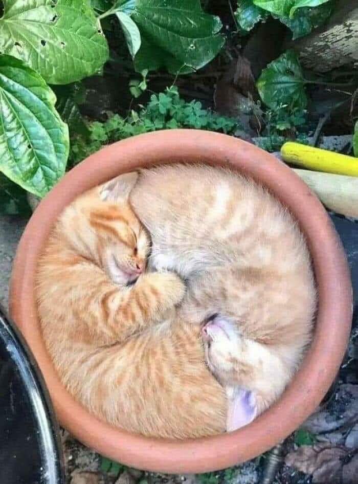 :) -    !