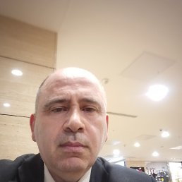 ����, 58 ���, ���������