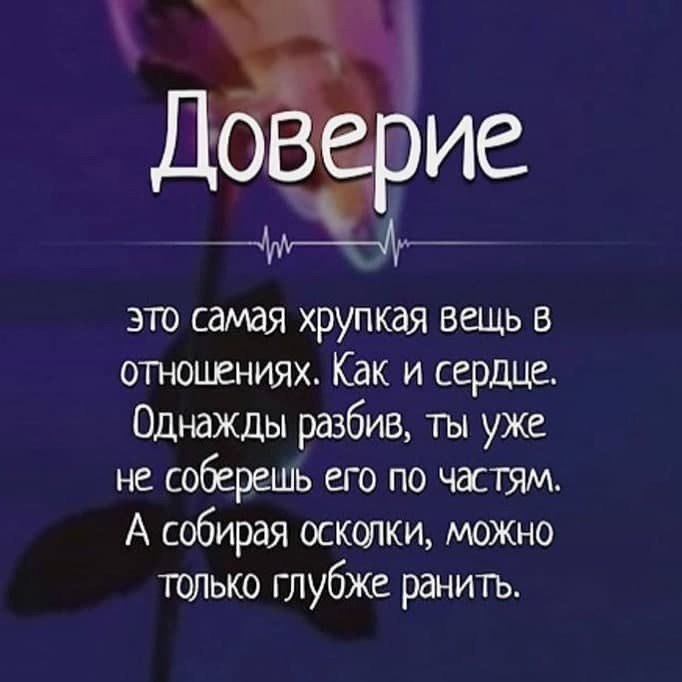    - 9  2025  21:11