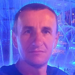 �����, ����, 43 ����