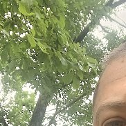 , 41 , 