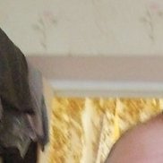 Анатолий, 46 лет, Тегеран Анатолий, 46 лет, Тегеран