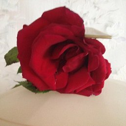 ���� �����, �����-���������, 63 ���� - ��������� 22 ������� 2025