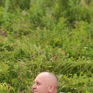 , 44 , 