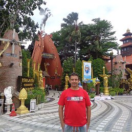 �����, �������