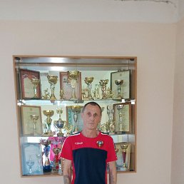 , 52, 