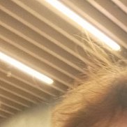 , 55 , 