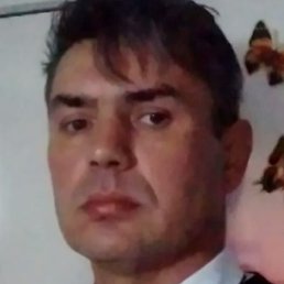 �������, ������, 49 ���