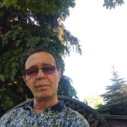, 58, 
