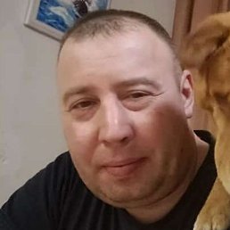 �������, ������, 43 ����