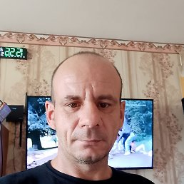 , 41 , 
