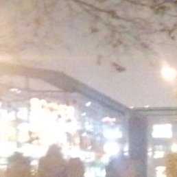 ���������, ����, 24 ����