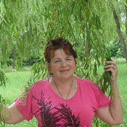 ���������, 84 ����, ������