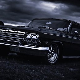 �����, ������, 46 ���