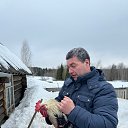 ���� �����, �����, 50 ��� - ��������� 8 ������� 2025 � ������ ���� ����������