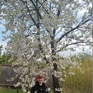 ������, , ������ ��������