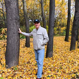 ����, ������, 60 ���