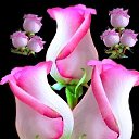 ���� ���������, �������, 45 ��� - ��������� 22 ������� 2023 � ������ ���� ����������