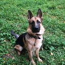 ���� ������, ������, 49 ��� - ��������� 7 ������� 2026 � ������ ���� ����������