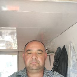 , 37, 