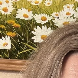 ����, �������, 49 ���