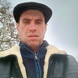 ���� ����, ������, 39 ��� - ��������� 2 ������ 2026