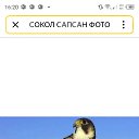 ���� ������, ����������� - ��������� 12 ������ 2026