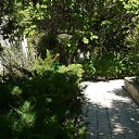 ���� �������, ������, 60 ��� - ��������� 23 ������� 2025 � ������ ������-������������� ��������� � ���������