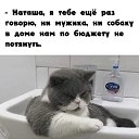 ���� ���������., ������ - ��������� 5 ����� 2026 � ������ ���� ����������
