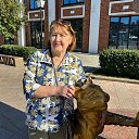 ���� ������, ������, 66 ��� - ��������� 8 ������ 2026