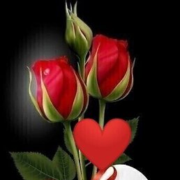 ������, �����������, 77 ���