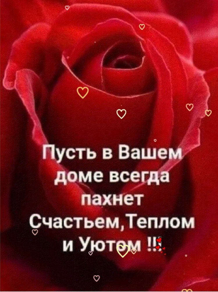  - 7  2025  14:19
