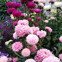 ���� ������, ��������, 58 ��� - ��������� 26 ������� 2026