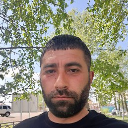 , 37, 
