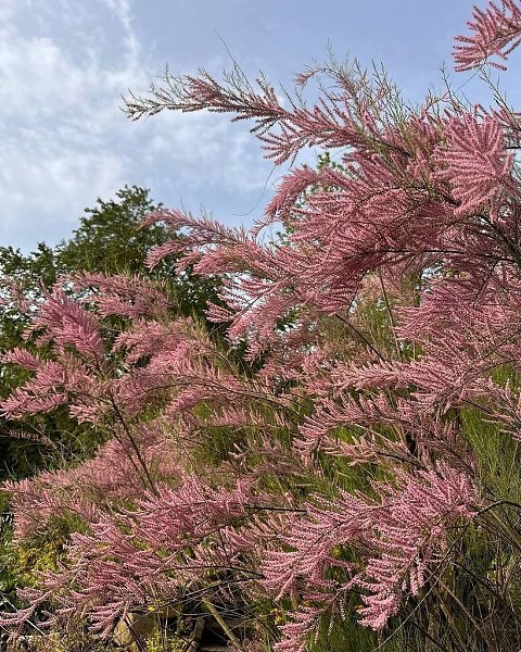 ��������� �������� ��������� ������� � ������������ ���� ����� ��������.�������������� ������� ... - 6