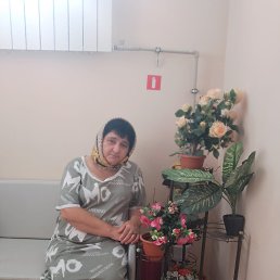 ���� ����� ��������, ��������, 58 ��� - ��������� 5 �������� 2025