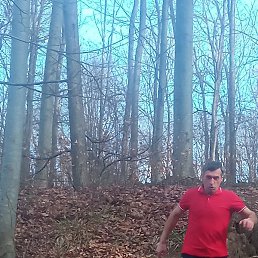 Simion, �������, 51 ���