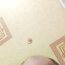 ������, 46 ���, ������