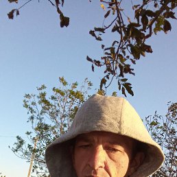 , 33, 