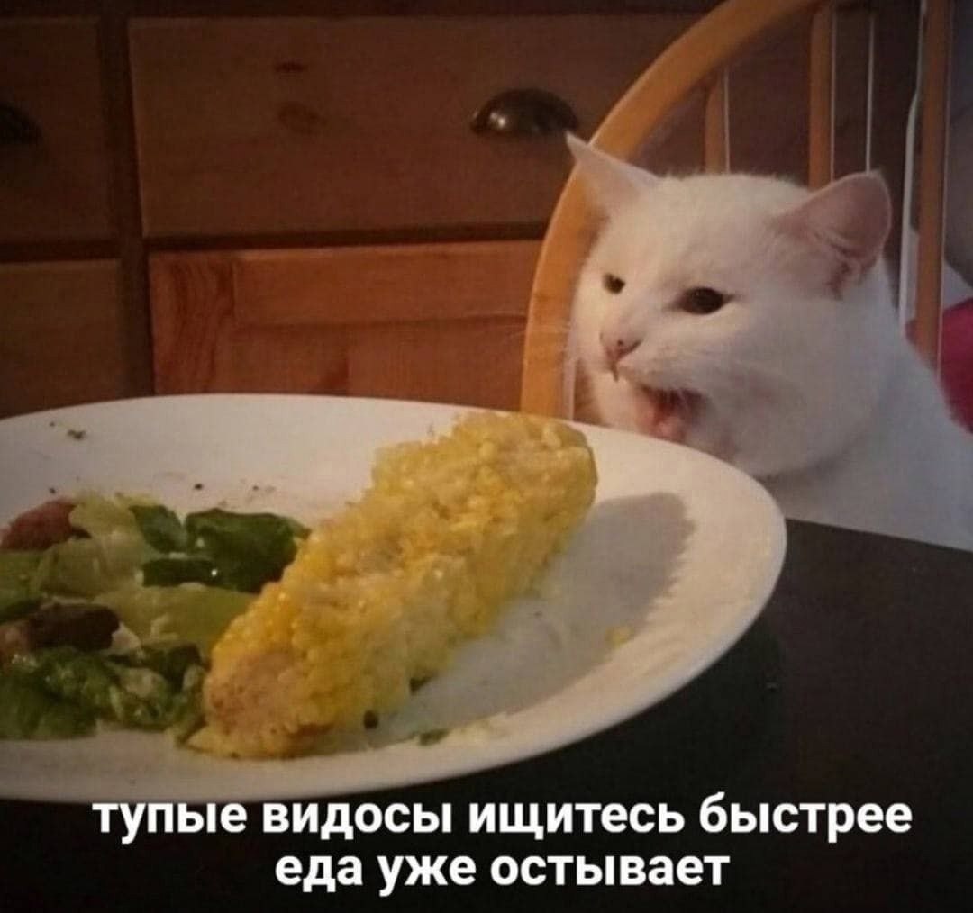  - 10  2024  20:27