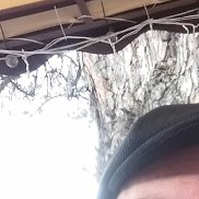 �����, 58 ���, ������