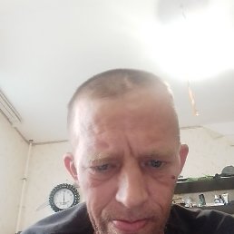 , 41,  