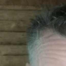 , , 51 