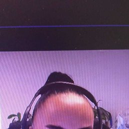 , 38, 