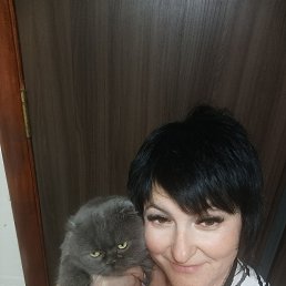 , 49, 