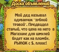 41 ahusim - 24  2024  13:03